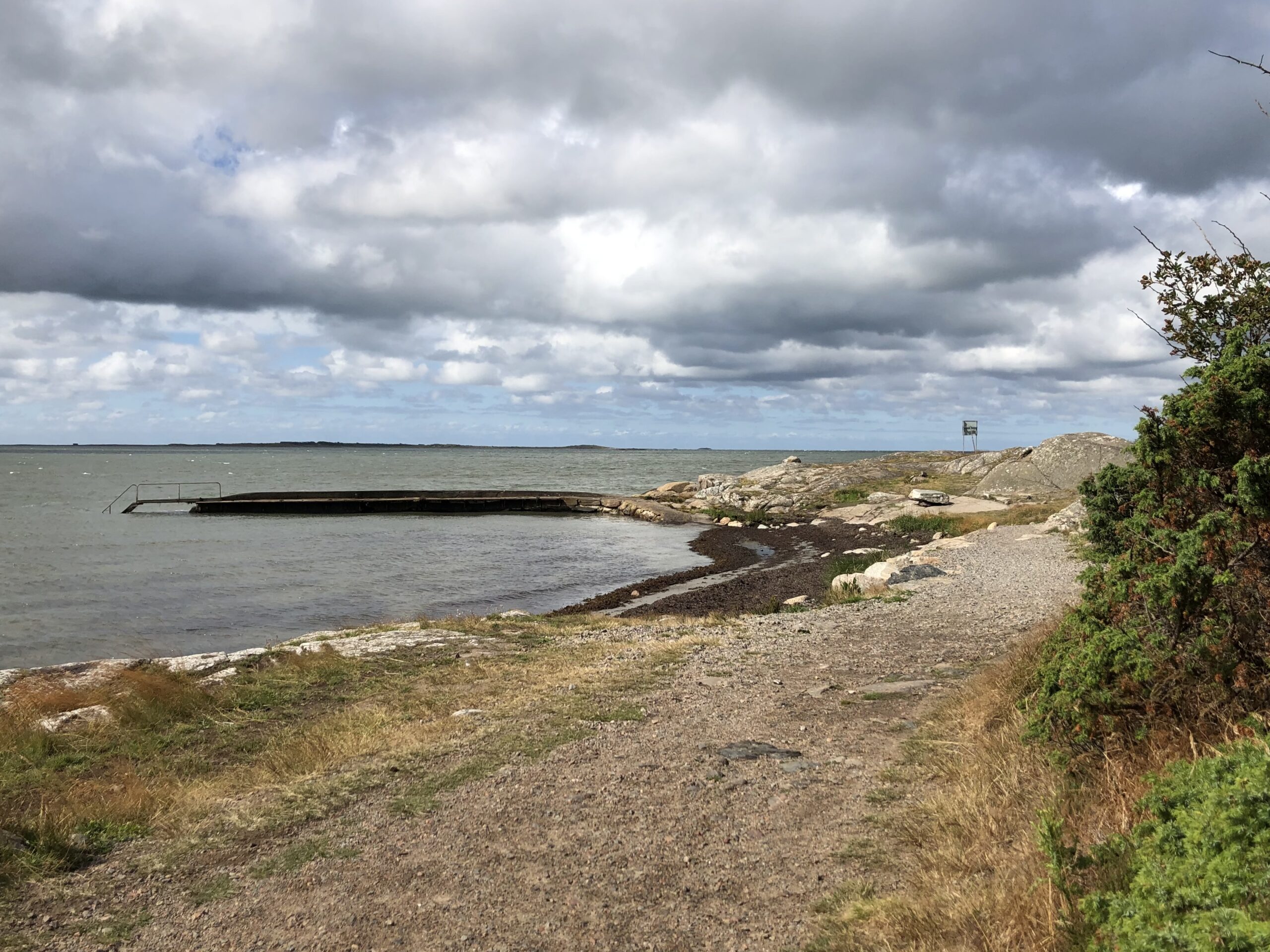 Autism och prediktionsförmåga