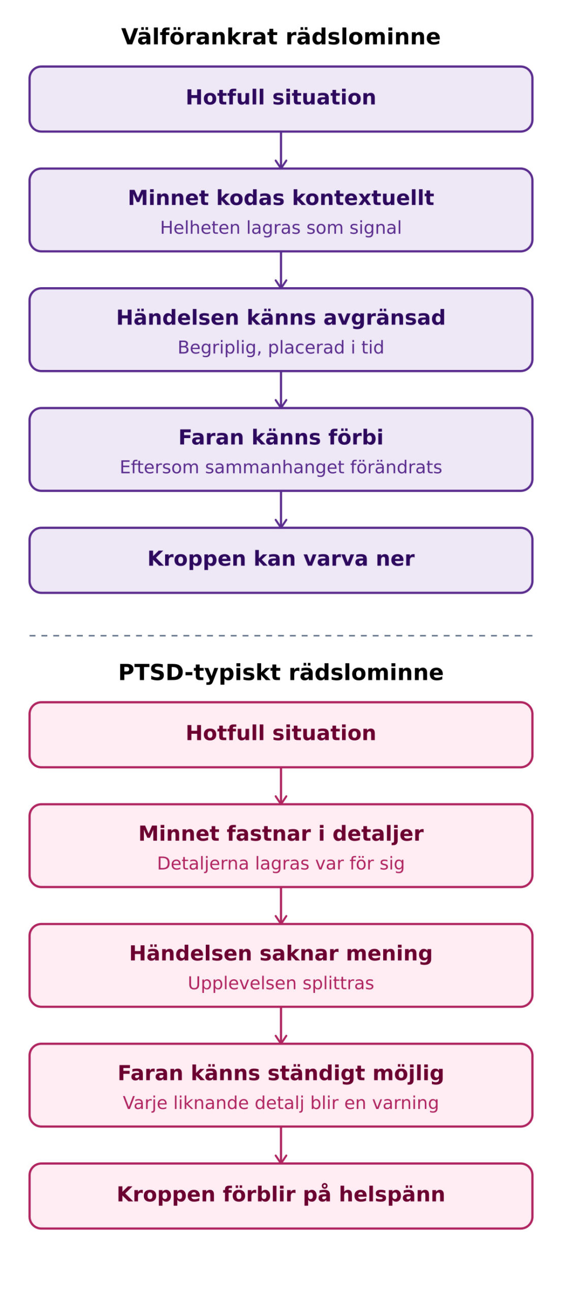 Diagram över välförankrat rädslominne jämfört med PTSD-typiskt rädslominne